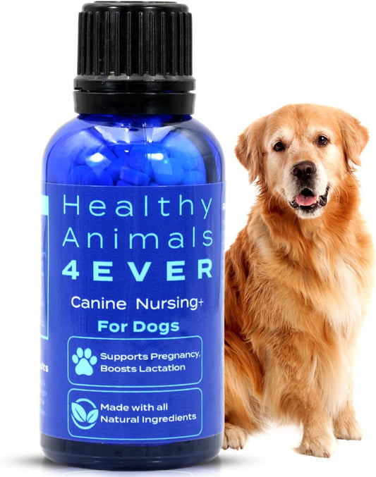 Natural Pregnancy and Lactation Support for Healthy Animals, Fast-Acting Formula with Guaranteed Results