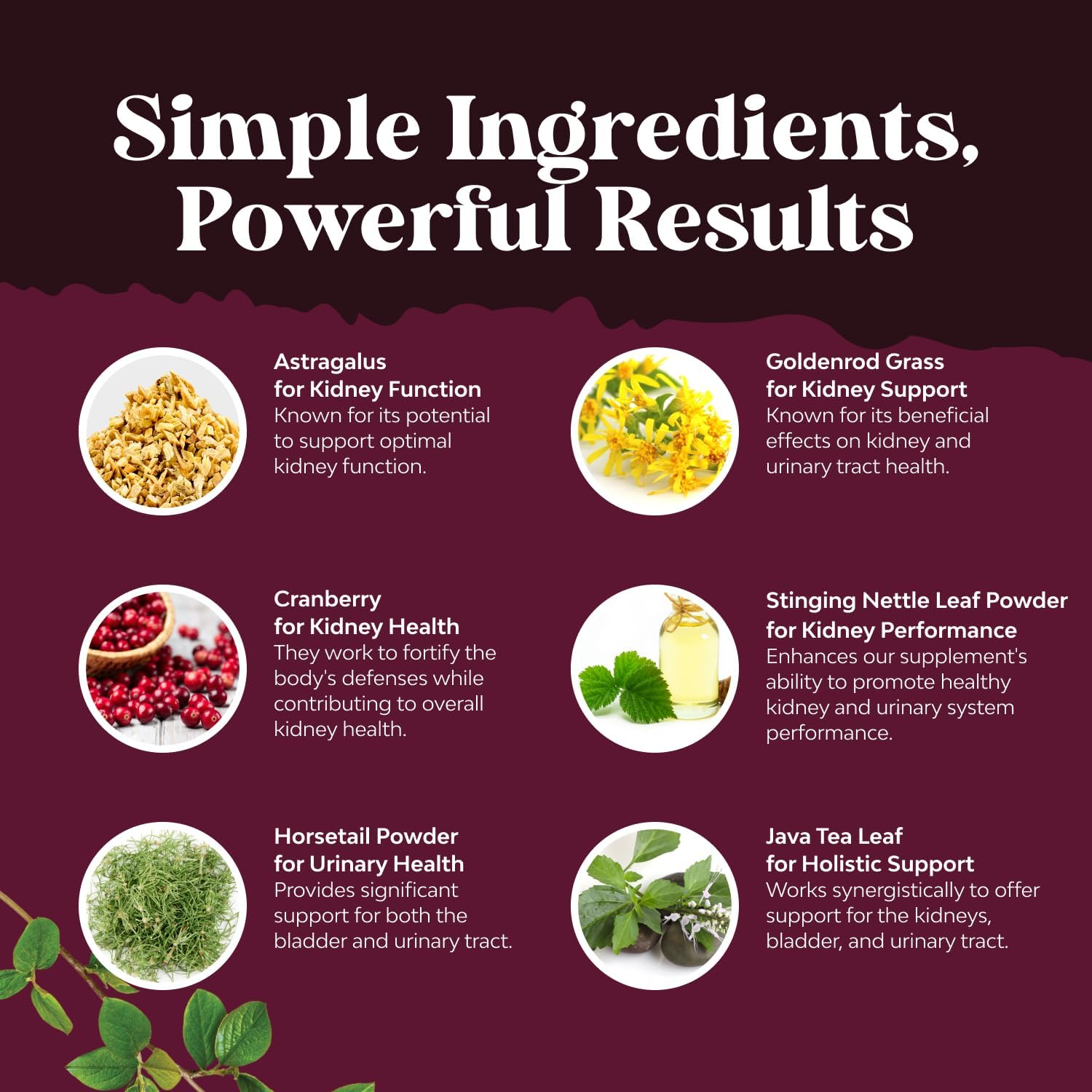 Natural White Kidney Bean Extract Bundle - Digestive Health and Workout Supplement with Cranberry for Kidney and Bladder Support