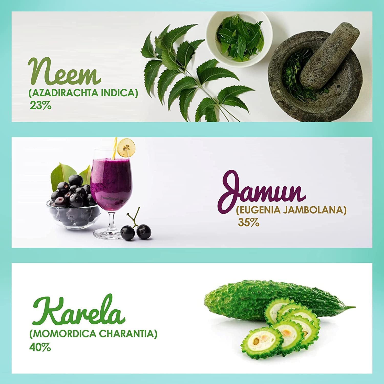 Neem Karela Jamun Juice - Herbal and Ayurvedic Blend for Nutrition | High Fiber Content | Original Flavour | 100% Pure (500ml)