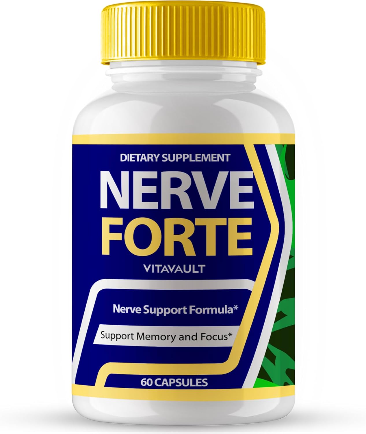 NerveForte Brain Supplements for Memory and Focus - 60 Capsules