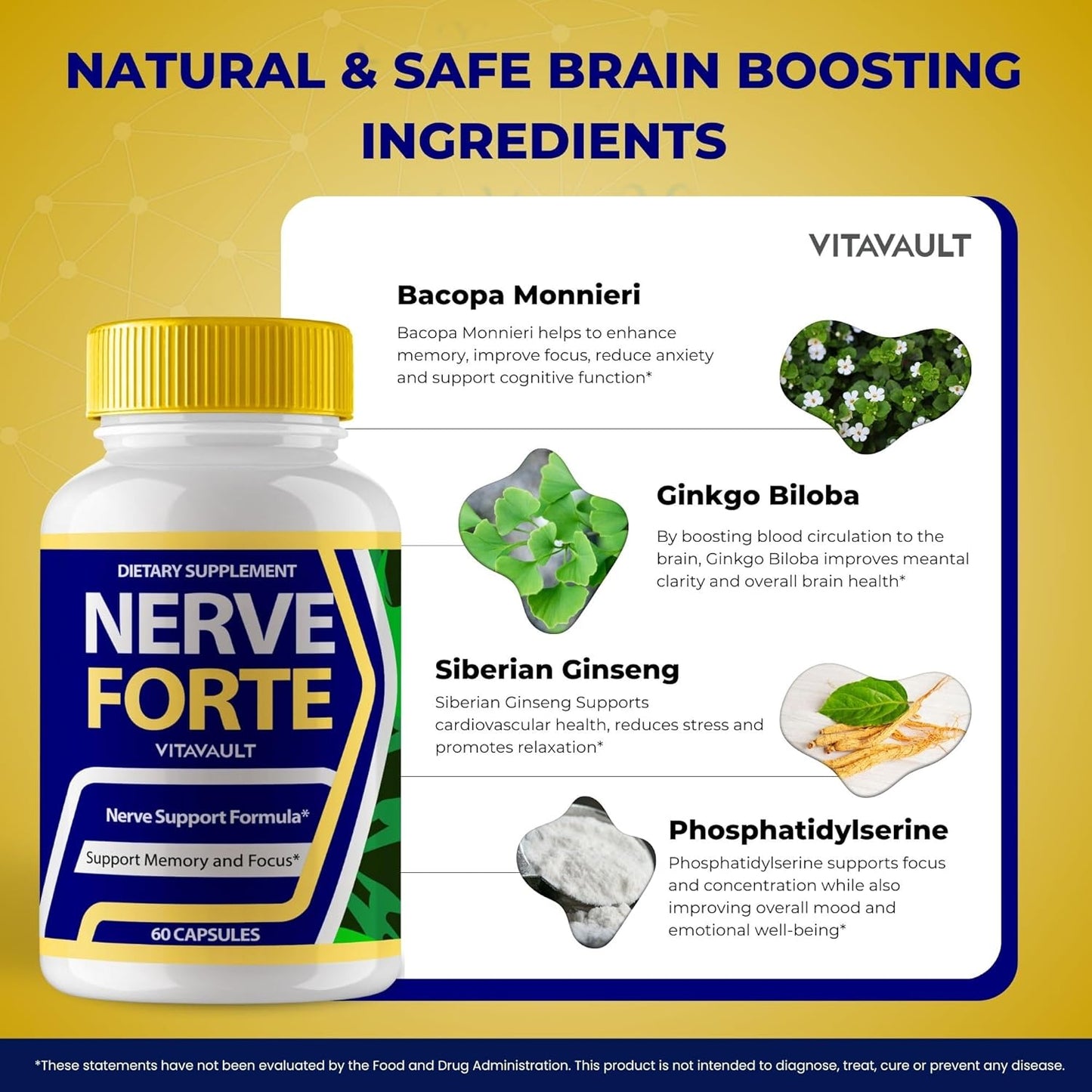NerveForte Brain Supplements for Memory and Focus - 60 Capsules