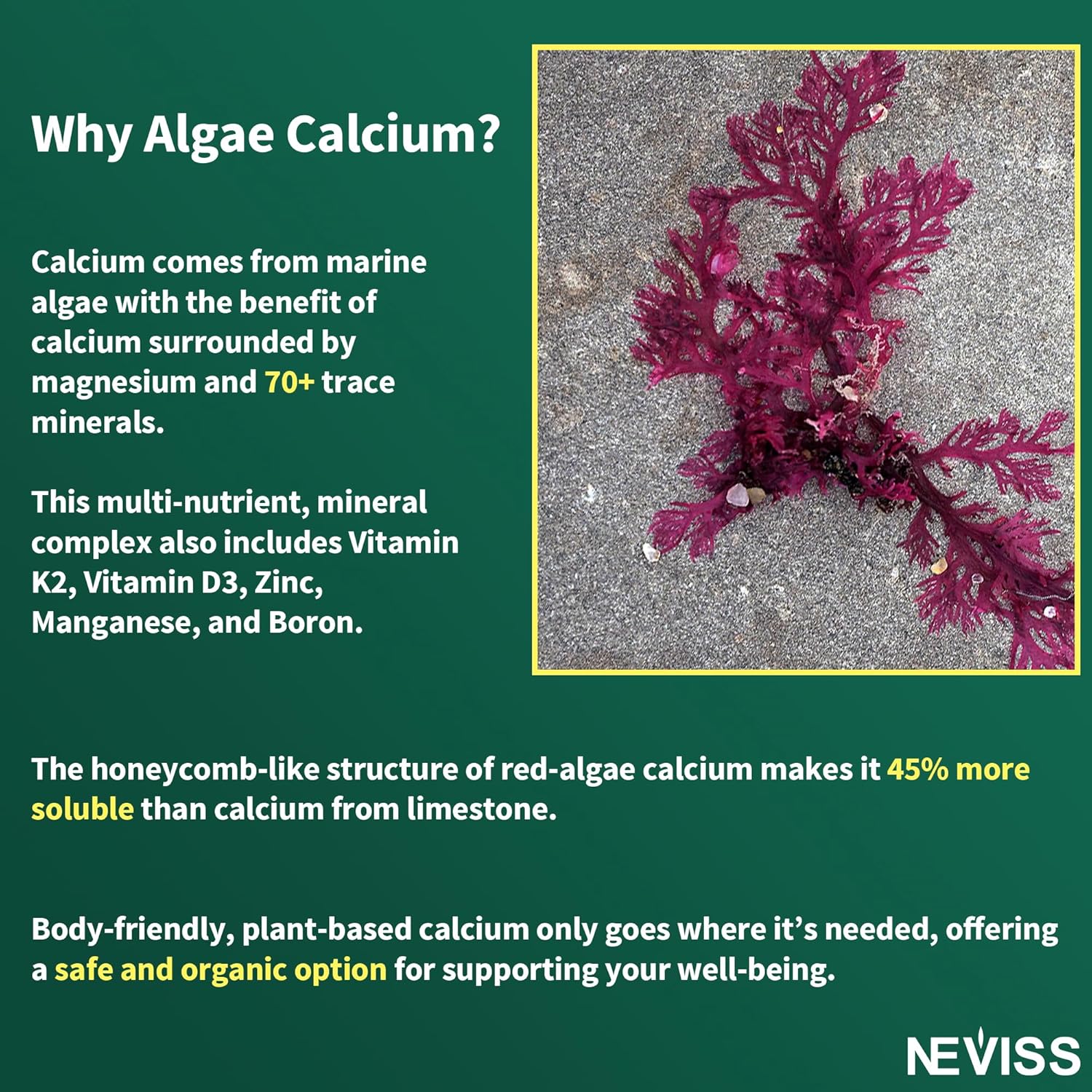 NEVISS Algae Calcium Gummies: Zinc and Magnesium Supplement