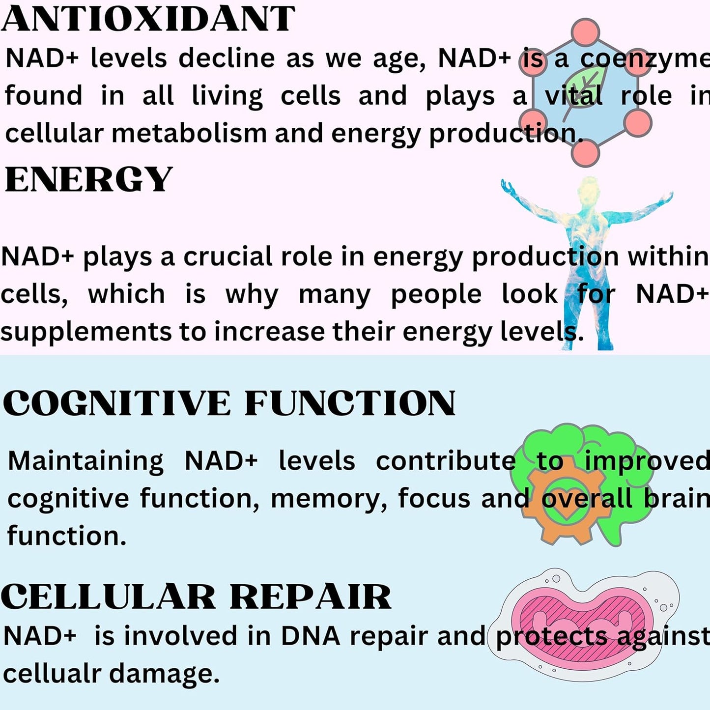 Nikoni Liposomal NAD+ 2000 mg Softgels with TMG and Pterostilbene for Healthy Aging