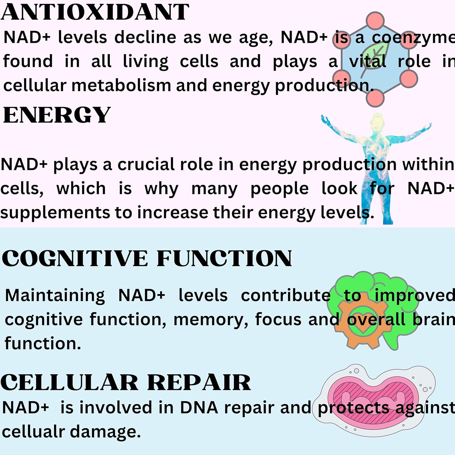 Nikoni Liposomal NAD+ 2000 mg Softgels with TMG and Pterostilbene for Healthy Aging