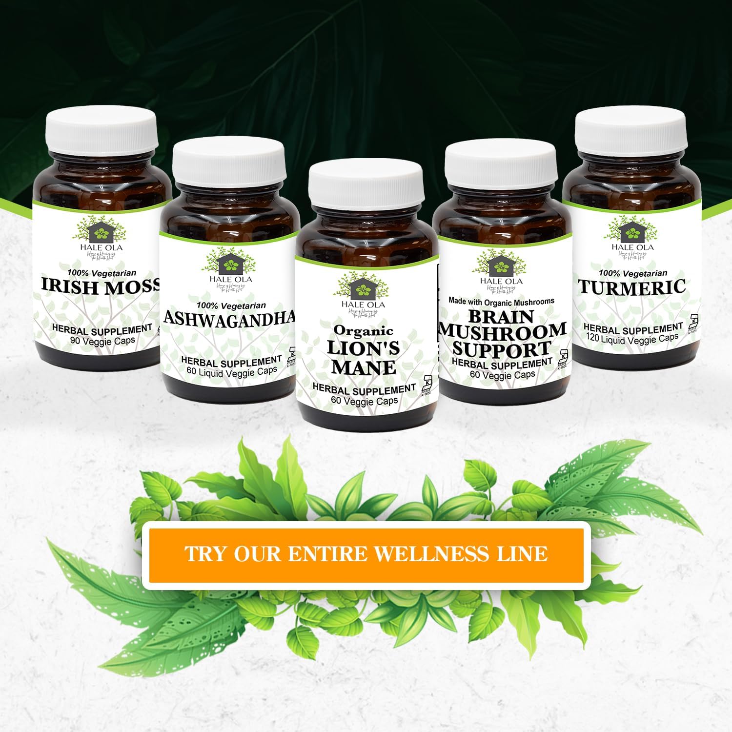 Non-GMO Kosher Lion's Mane Mushroom Capsules for Cognitive Function & Nerve Health