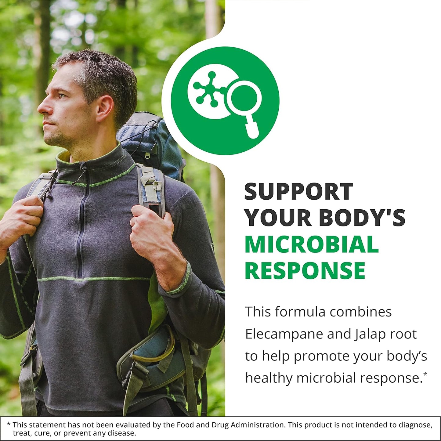 NutraMedix Enula Liquid Drops - Antioxidant & Immune Support with Elecampane & Jalap Root Extract - Herbal Supplement (2oz / 60ml)