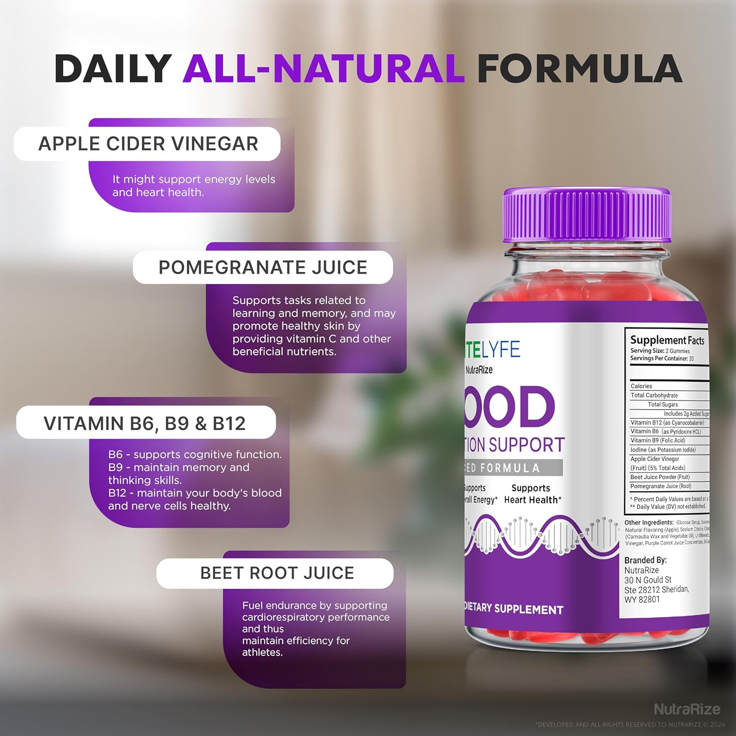 NutraRize RiteLyfe Gummies - Pack of 2, All Natural Stabilizer for Healthy Levels and Wellness - Premium Formula (120 Gummies)