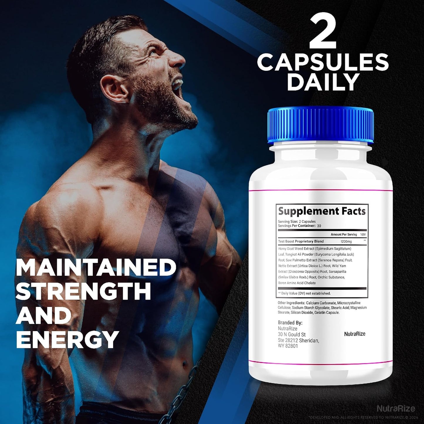 NutraRize VirilTonic Capsules for Men - Pack of 2, All Natural Performance Support Supplement with 120 Capsules