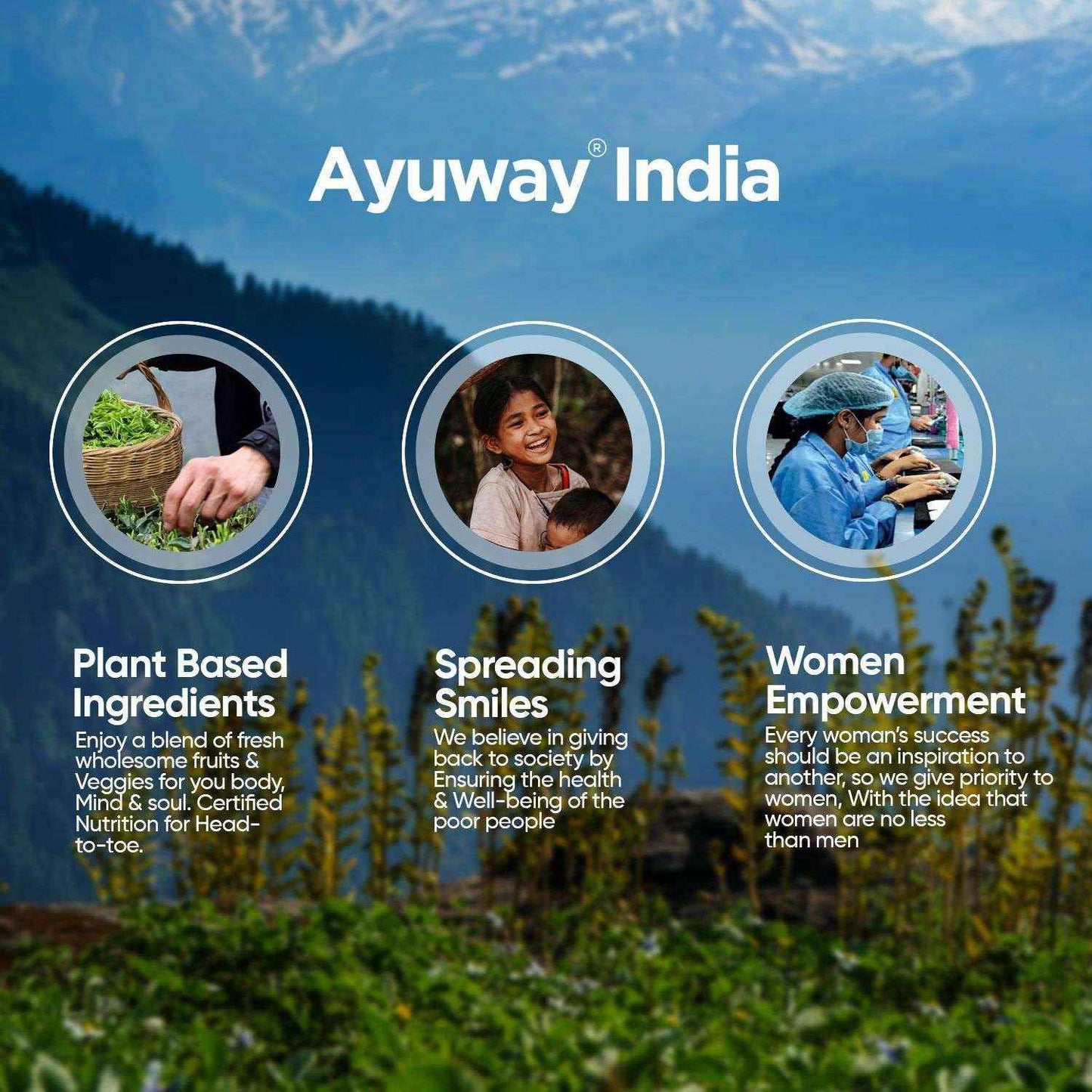 Nutritions Alfalfa 1200mg Supplement Super Green Food for Good Health Cholestrol Management and Respiratory Health Helps for Improve Bowel Movement 90 Vegetarian Capsules