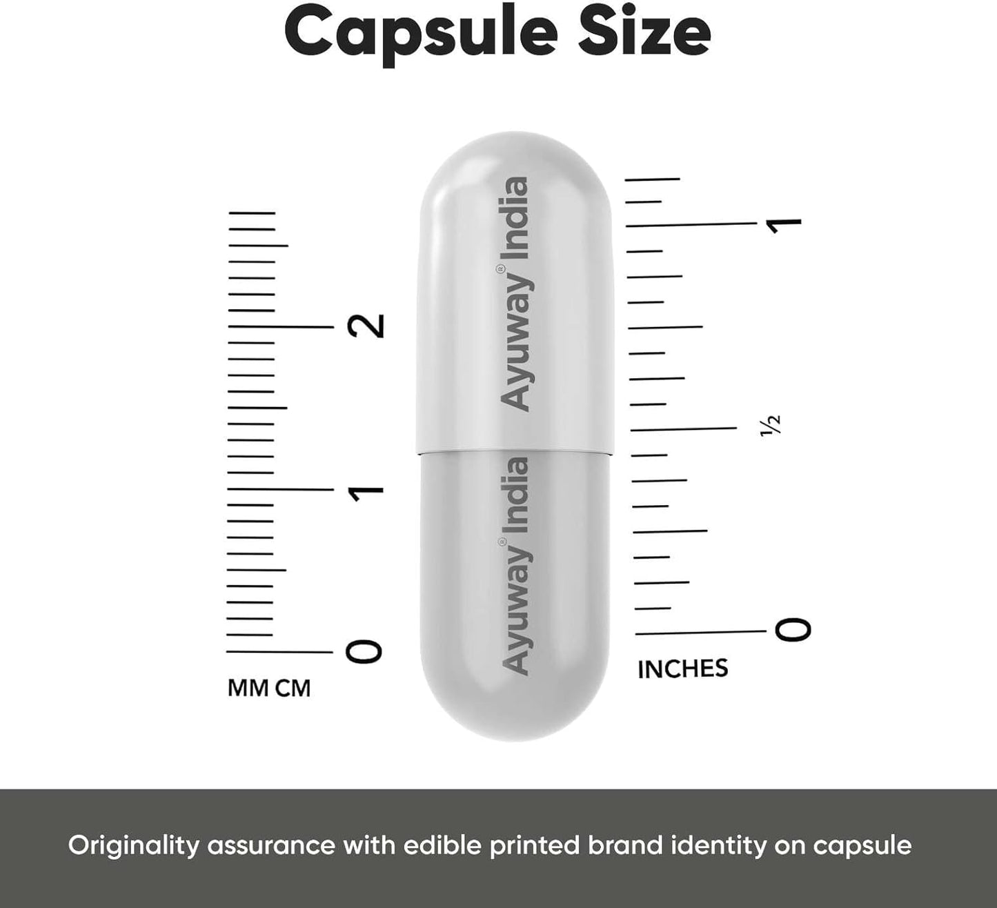 Nutritions Alfalfa 1200mg Supplement Super Green Food for Good Health Cholestrol Management and Respiratory Health Helps for Improve Bowel Movement 90 Vegetarian Capsules