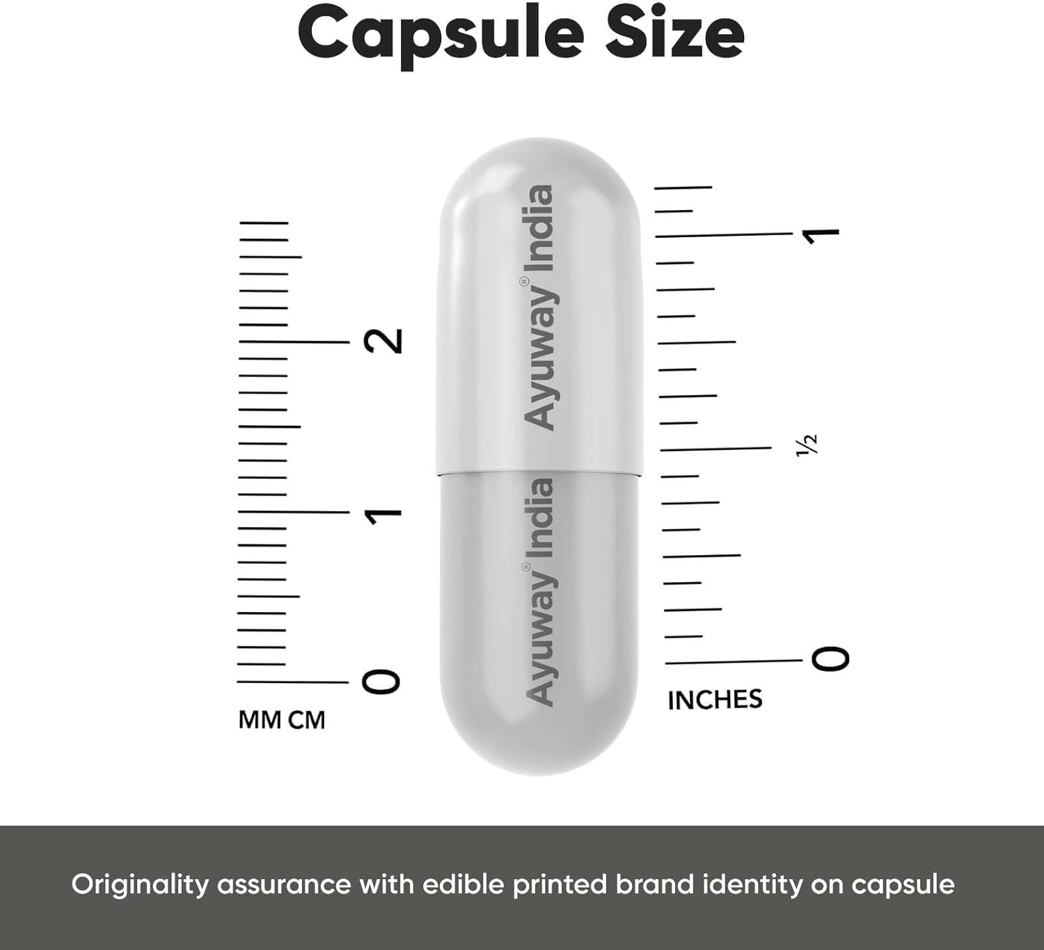 Nutritions Alfalfa 1200mg Supplement Super Green Food for Good Health Cholestrol Management and Respiratory Health Helps for Improve Bowel Movement 90 Vegetarian Capsules