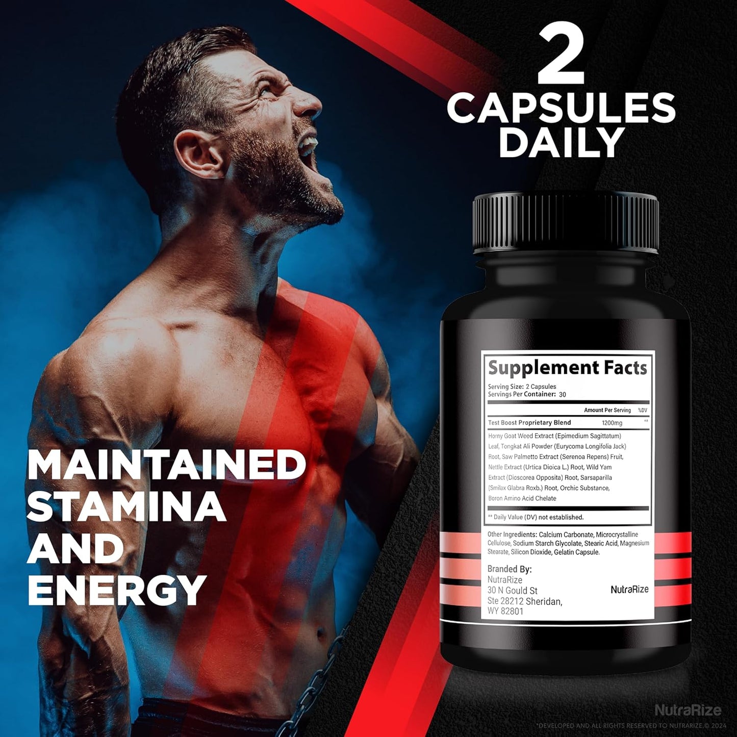 Official ReadyXL Male Capsules - Premium All-Natural Multivitamin Formula for Men's Health and Performance (60 Capsules)