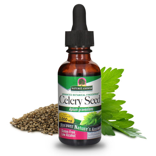 Organic Alcohol Celery Seed Extract 2000mg 1oz | Antioxidant-Rich | Supports Joint Health | Urinary Tract Aid | Single Dose