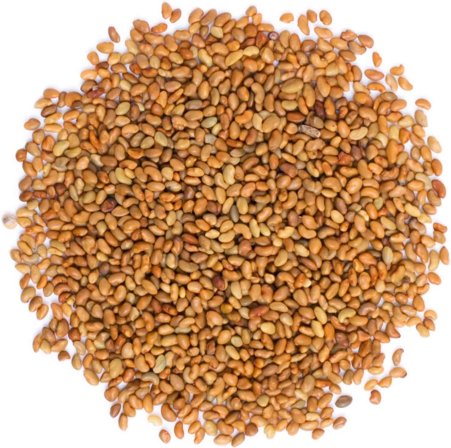 Organic Alfalfa Sprouting Seeds - 8 Ounces, Non-GMO, Kosher, Raw - Food to Live