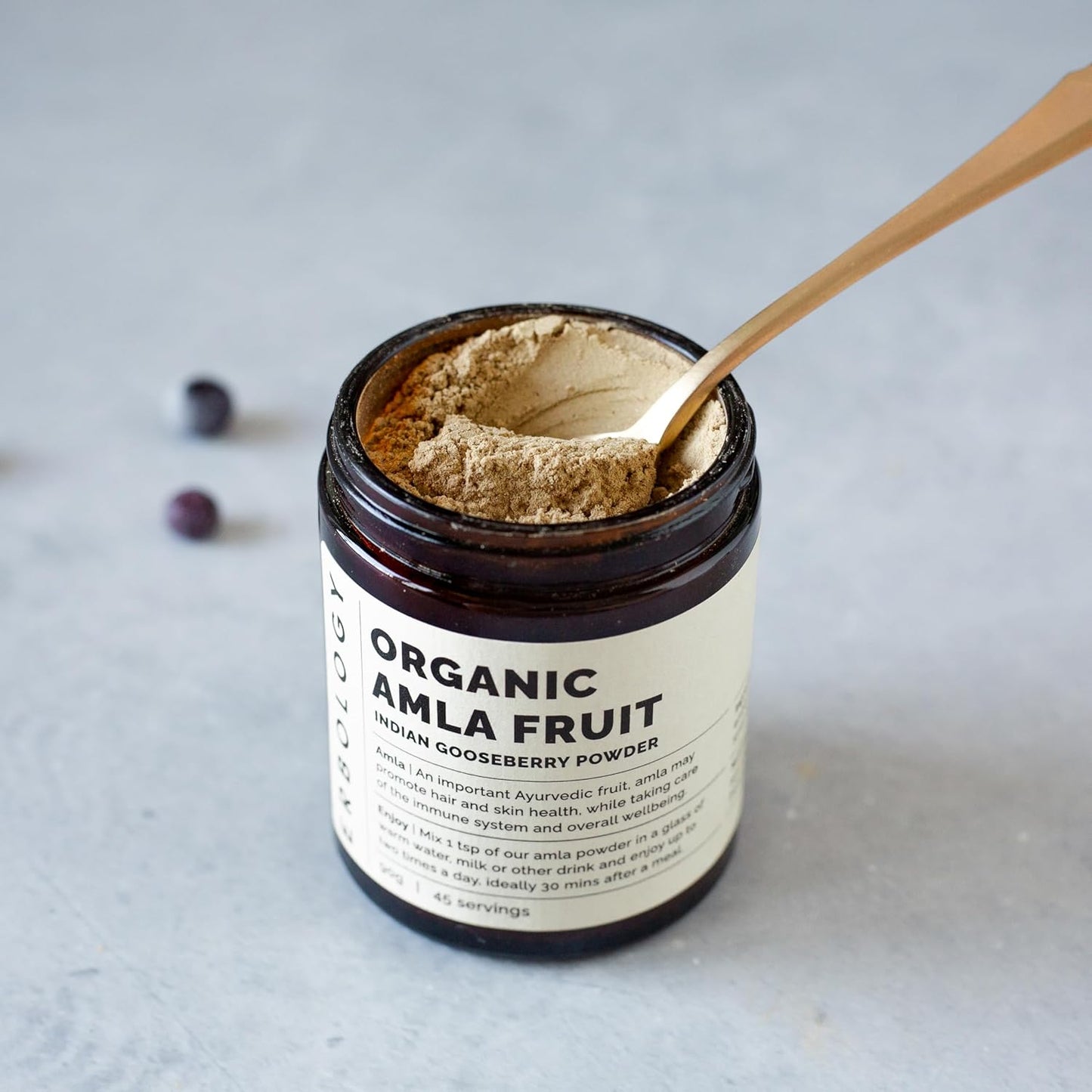 Organic Amla Powder 3.2 oz - Immunity Support - Vitamin C Rich - Skin & Hair Regeneration - Indian Gooseberry - Raw, Vegan, Gluten-Free - 45 Servings