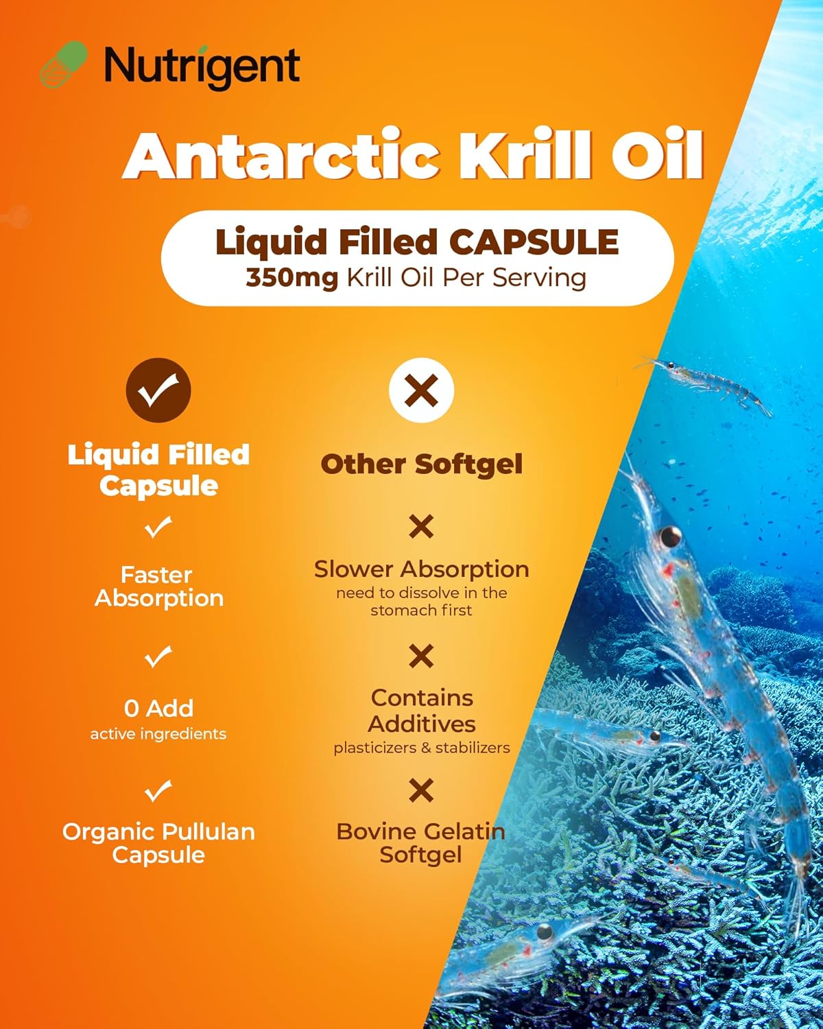 Organic Antarctic Krill Oil Capsules 350 mg - Omega-3 EPA, DHA, Astaxanthin, Phospholipids - Heart, Brain, Joint Health - No Fishy Aftertaste - 30 Count