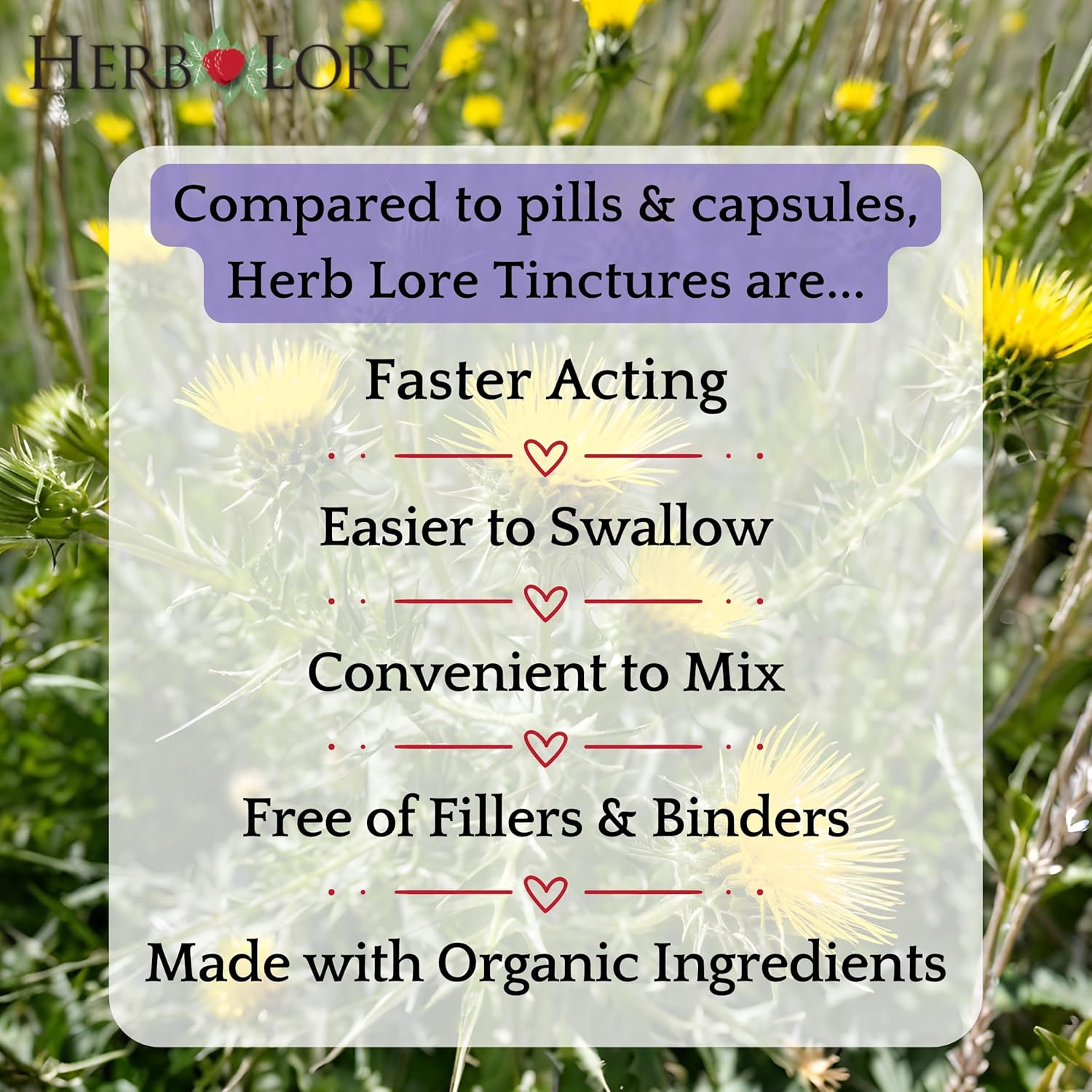 Organic Blessed Thistle Extract Tincture - Liquid Breastmilk Supplement for Lactation Support (4 fl oz)
