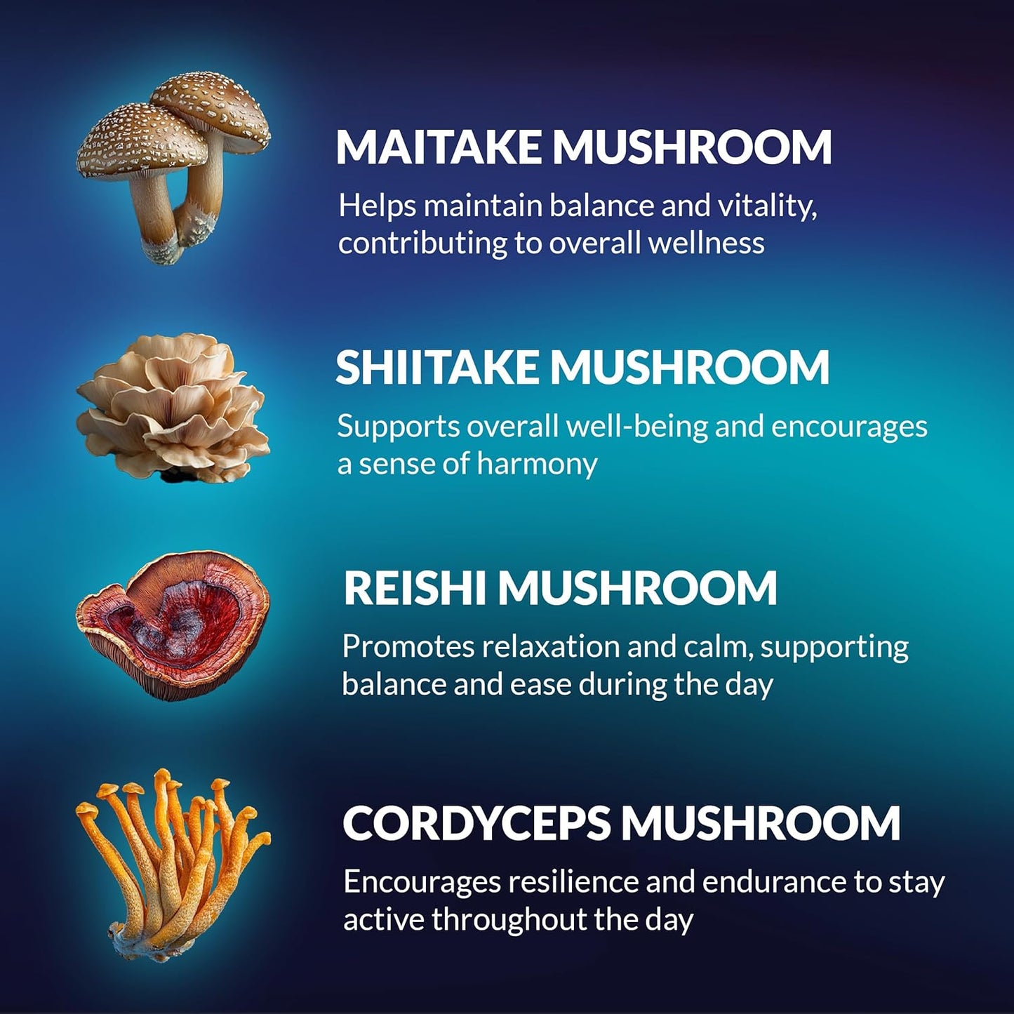 Organic Brain Boost Gummies with Lion’s Mane, Reishi, Cordyceps - Focus & Clarity Support