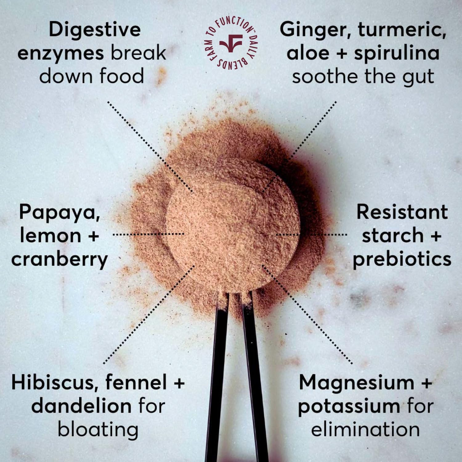 Organic Digestive Enzyme Drink Mix - Anti-Bloating Supplement with Prebiotics, Superfoods - Pineapple Ginger Flavor