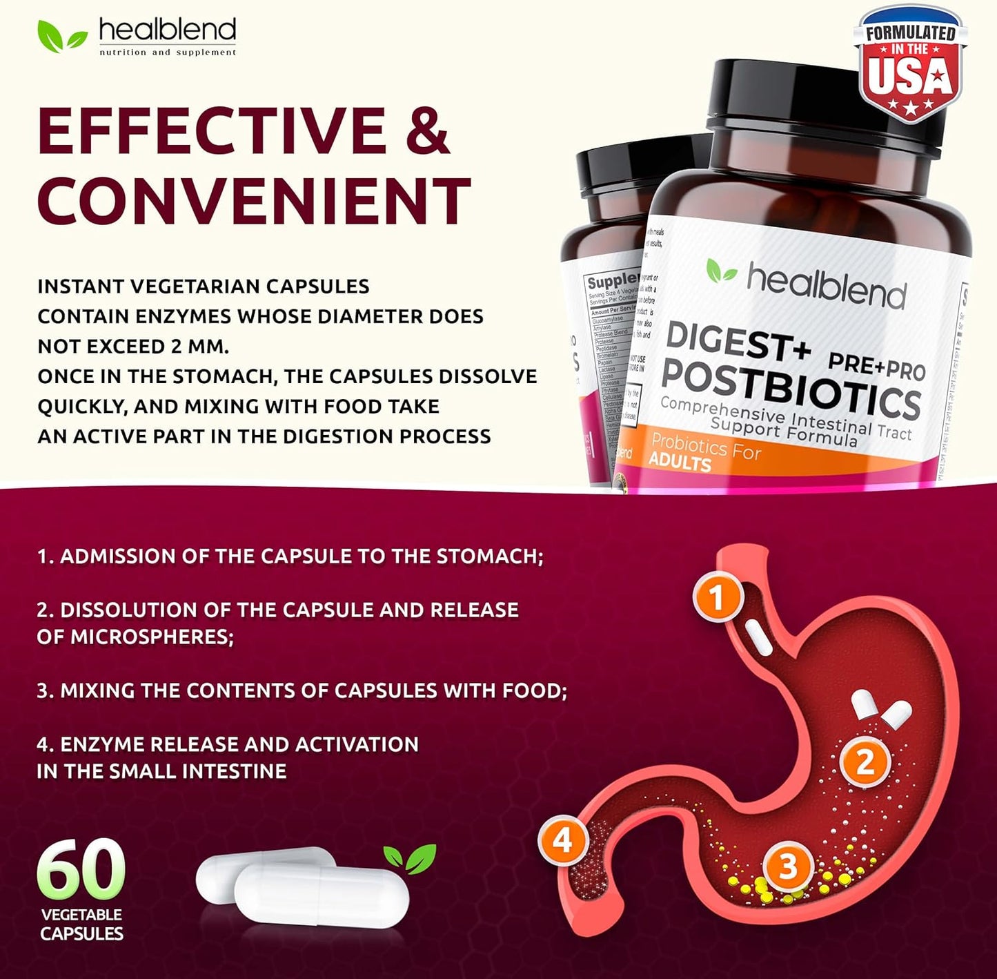 Organic Digestive Health Supplement for Women and Men - Enzymes, Prebiotics & Probiotics - Non-GMO, Gluten-Free - 60 Vegetarian Capsules