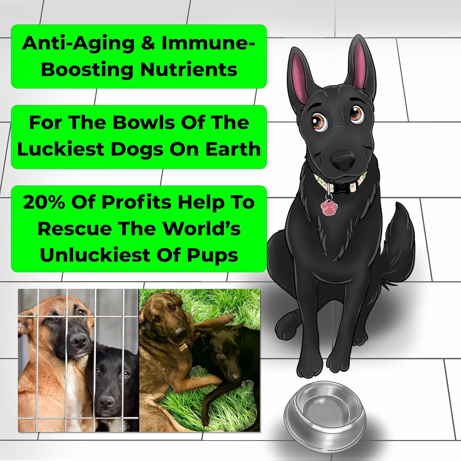 Organic Dog Anti-Aging & Immune Support Supplement with Medicinal Plants & Mushroom Extracts