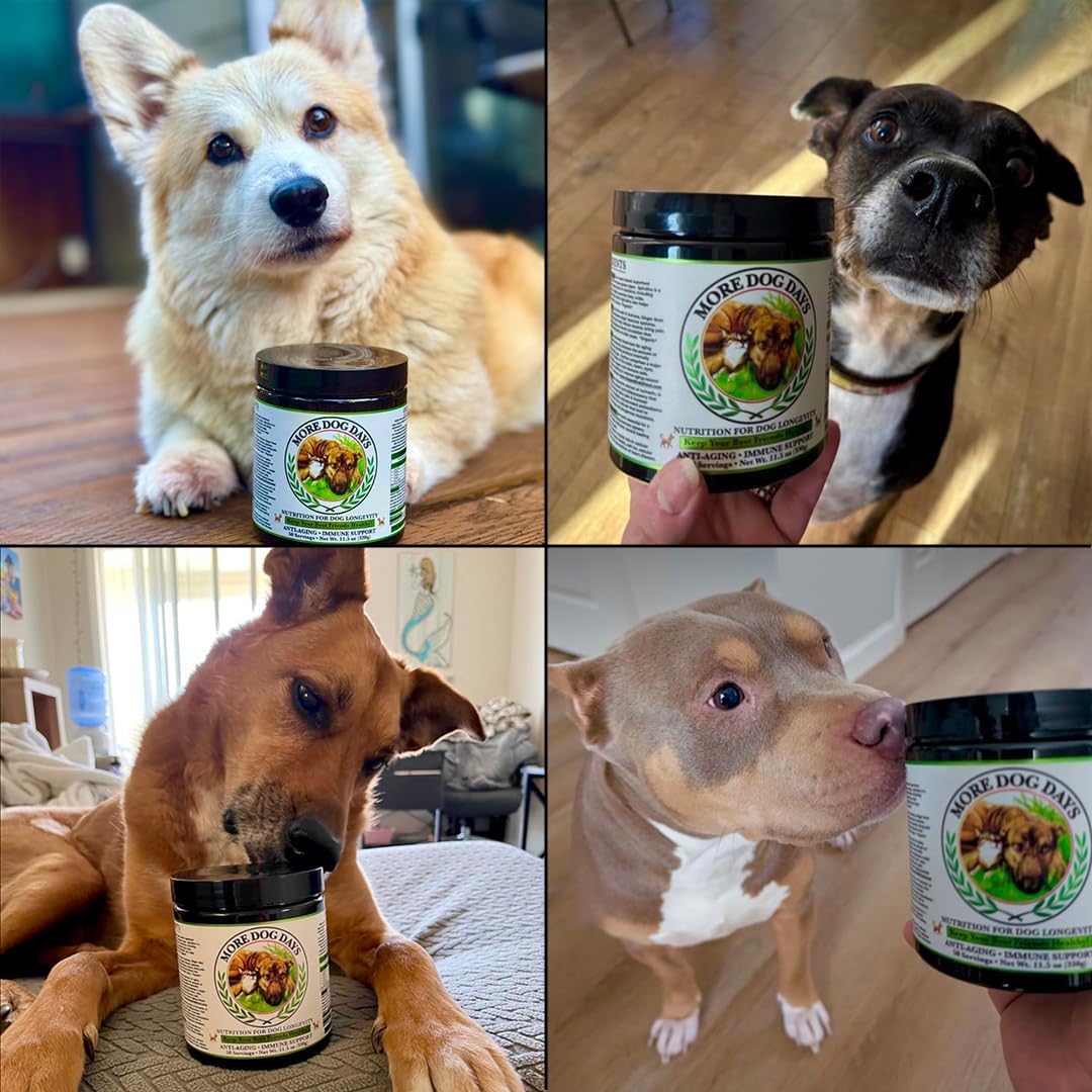 Organic Dog Anti-Aging & Immune Support Supplement with Medicinal Plants & Mushroom Extracts