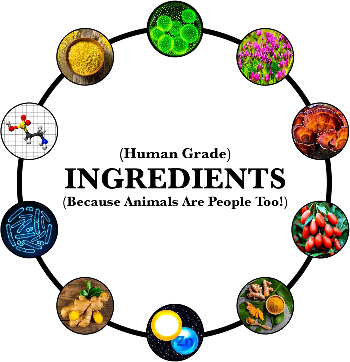 Organic Dog Anti-Aging & Immune Support Supplement with Medicinal Plants & Mushroom Extracts