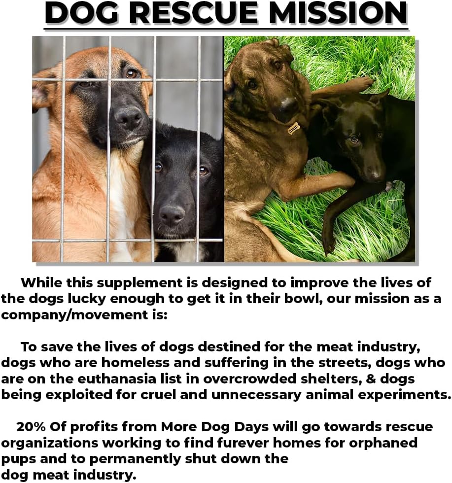 Organic Dog Anti-Aging & Immune Support Supplement with Medicinal Plants & Mushroom Extracts