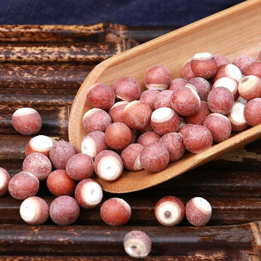Organic Dried Gorgon Fruit Seeds - Semen Euryales - Qian Shi - 500g / 1.10 lbs
