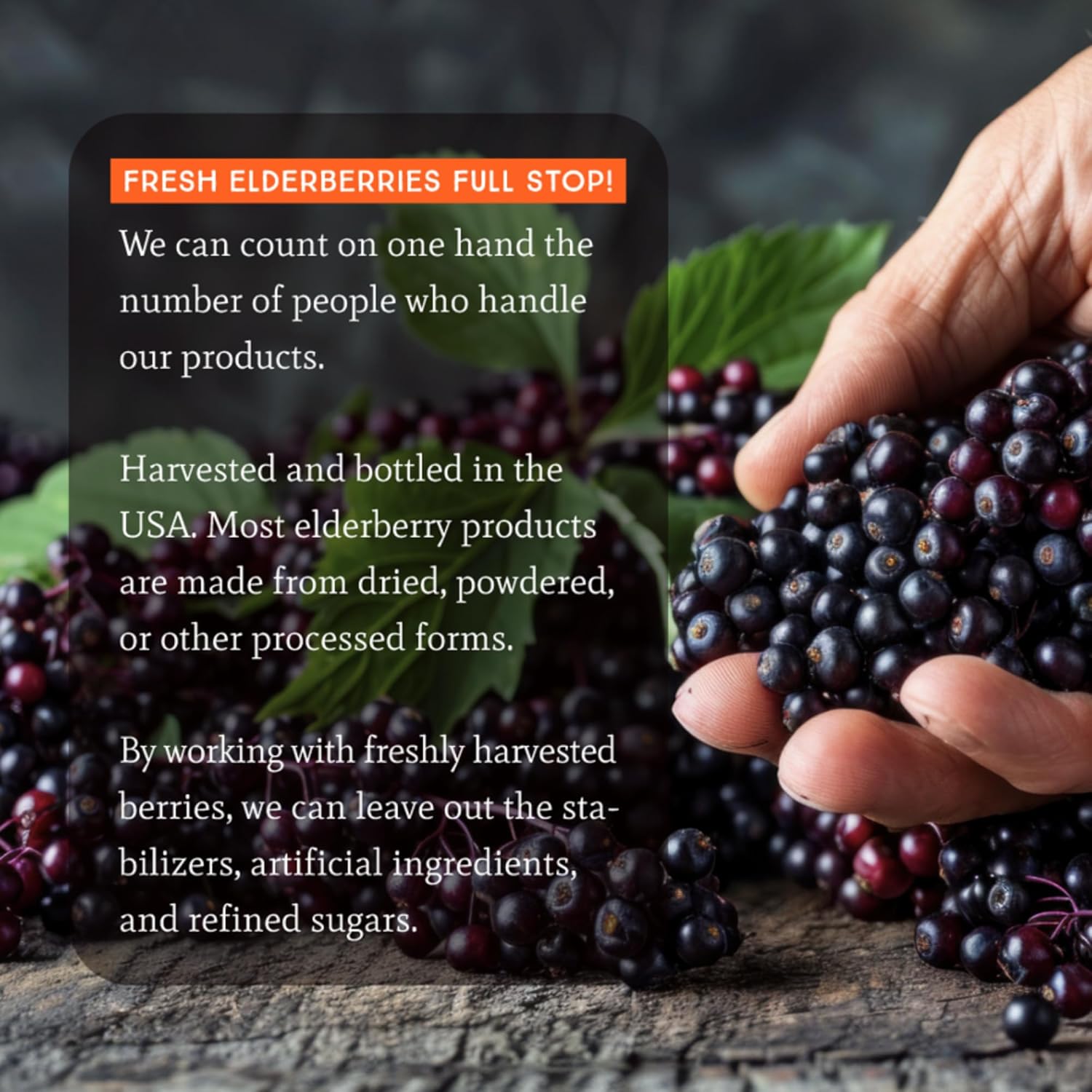 Organic Elderberry Extract 11,000mg Max Strength Immune Supplement - Doctor Formulated Vegan - 24 Day Supply - 2 Fl Oz