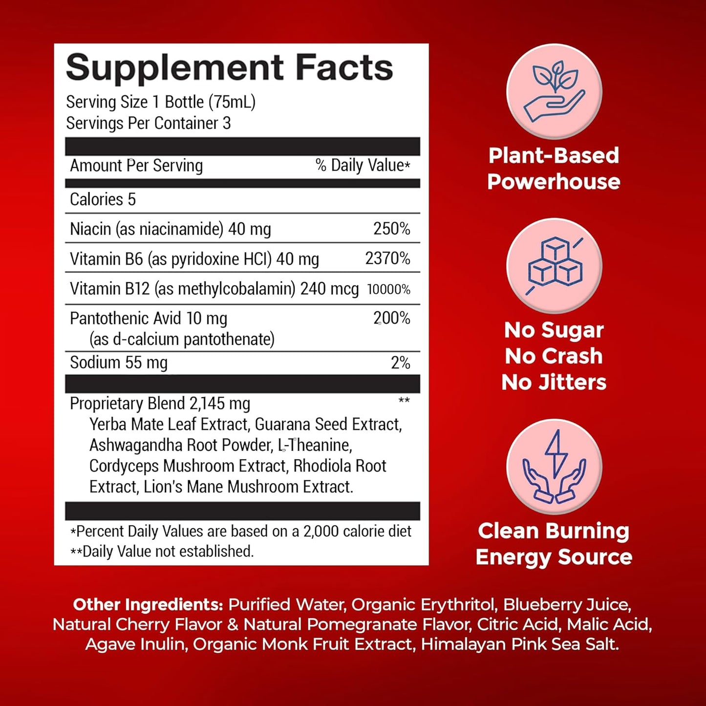 Organic Energy Shot with Yerba Mate, Ashwagandha, Lion's Mane & B12 - Cherry Pomegranate Flavor - 3 Pack of 2.5 FL Oz Shots