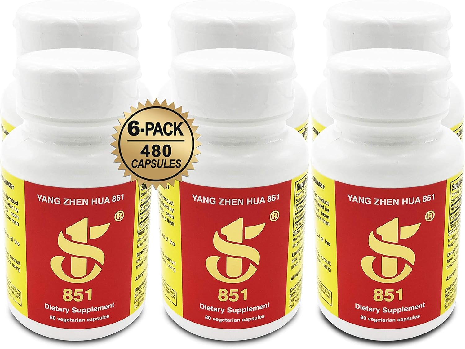 Organic Fermented Soy Health Supplement with BCAA, BCFA, Minerals, Protein - 480 Capsules