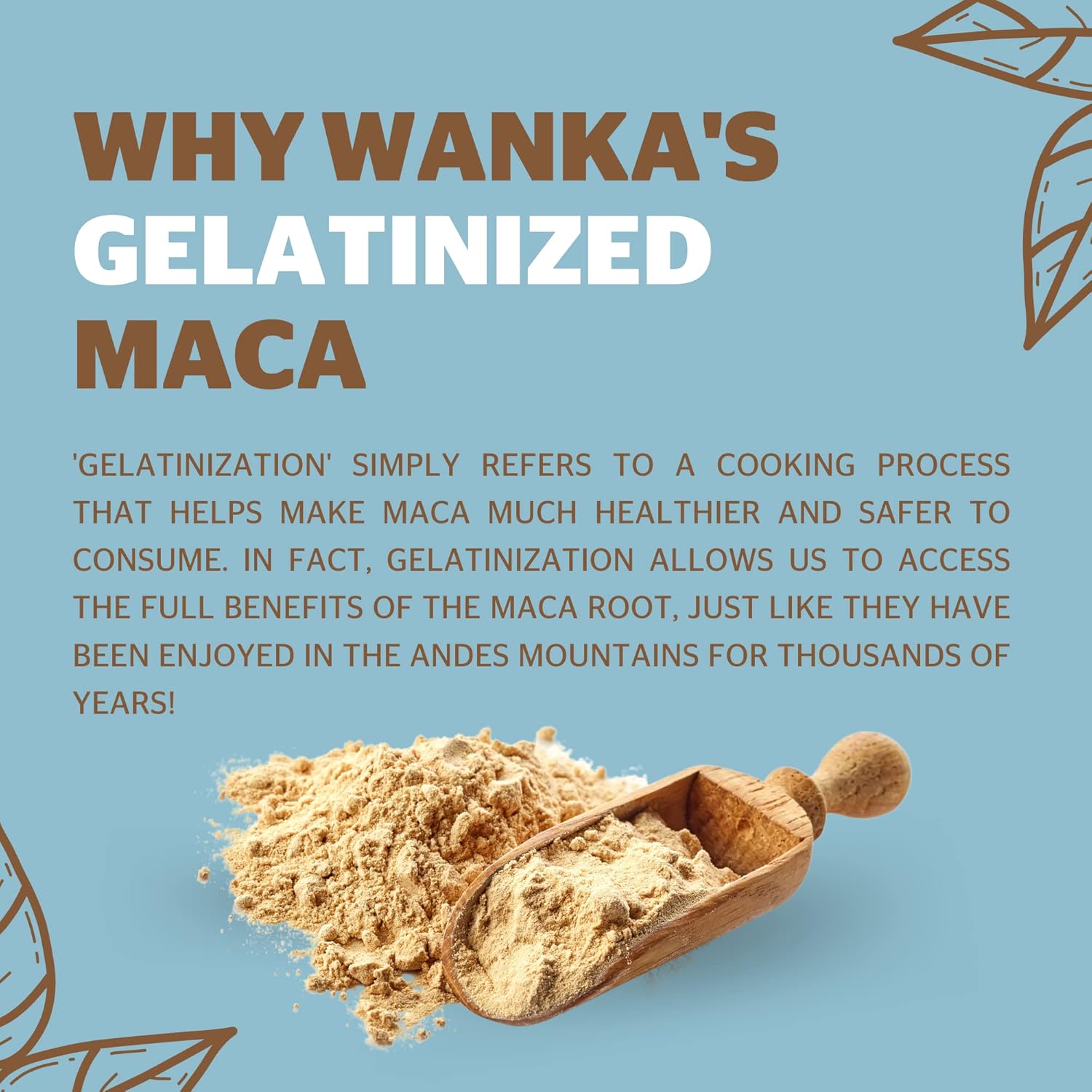 Organic Gelatinized Maca Powder 8oz - Peruvian Maca Root - Vegan, USDA Organic, Non-GMO - Boost Energy and Vitality - Keto-Friendly Adaptogen