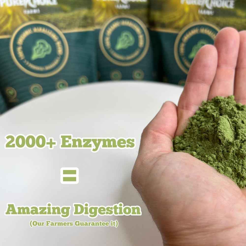 Organic Greens Superfood Powder, USA Grown - Kale, Alfalfa Grass, Wheatgrass, Barley Grass, Astragalus, Spirulina, Oat Grass & Chlorella, USA Grown (10.6 oz, 1 Month Supply)