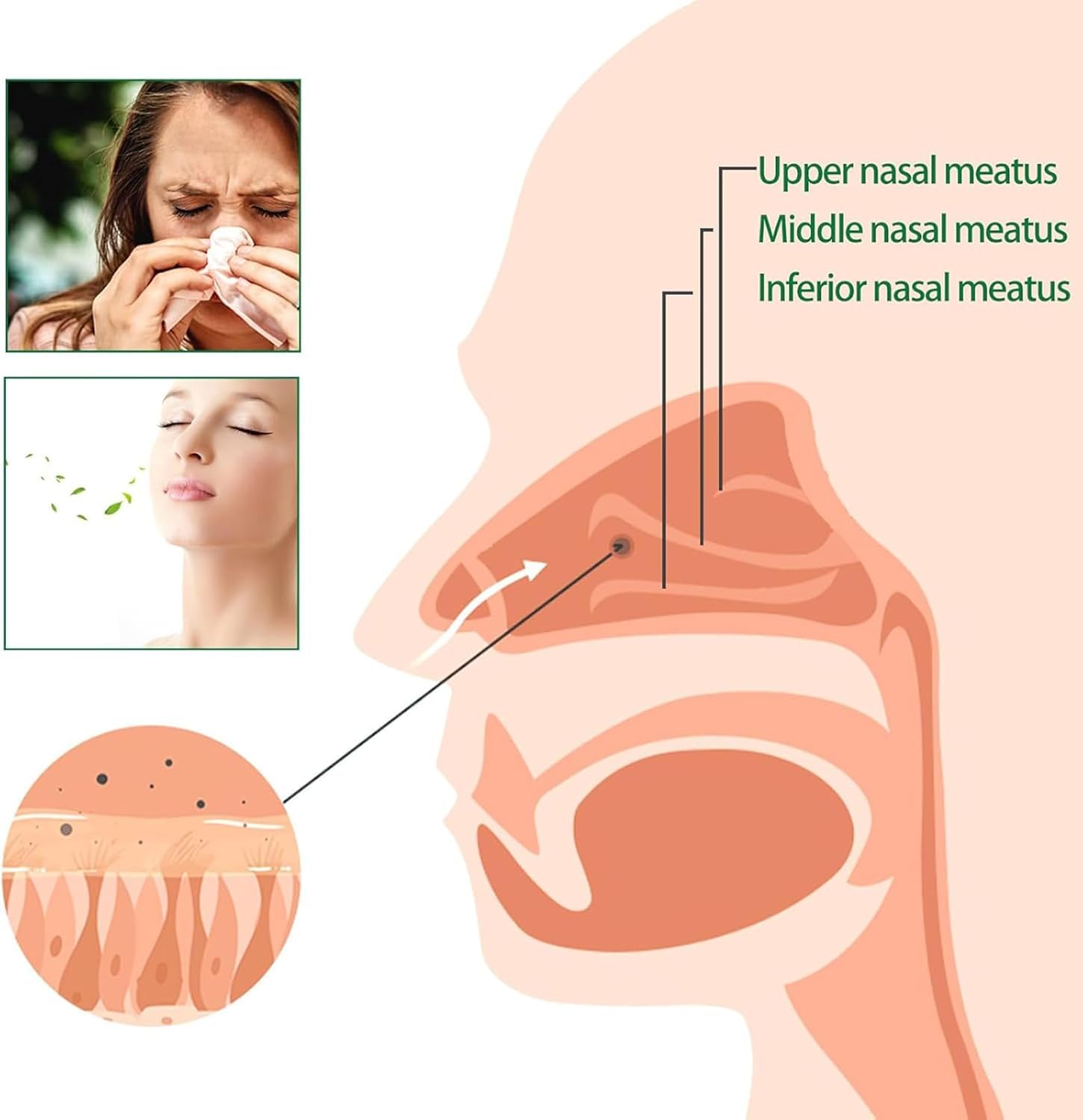 Organic Herbal Lung Cleanse Repair Spray - 2 Pack by Onnature - Natural Lung Cleansing Spray