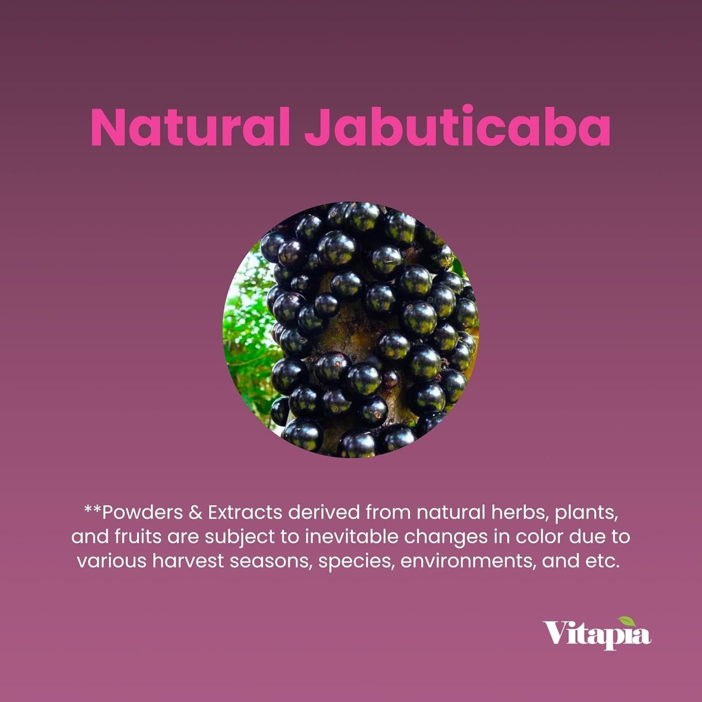 Organic Jabuticaba Fruit Powder Capsules - 1500mg Antioxidant Supplement for Lung Health, Digestion, Immune Support - 180 Vegan Capsules, Non-GMO, Gluten-Free
