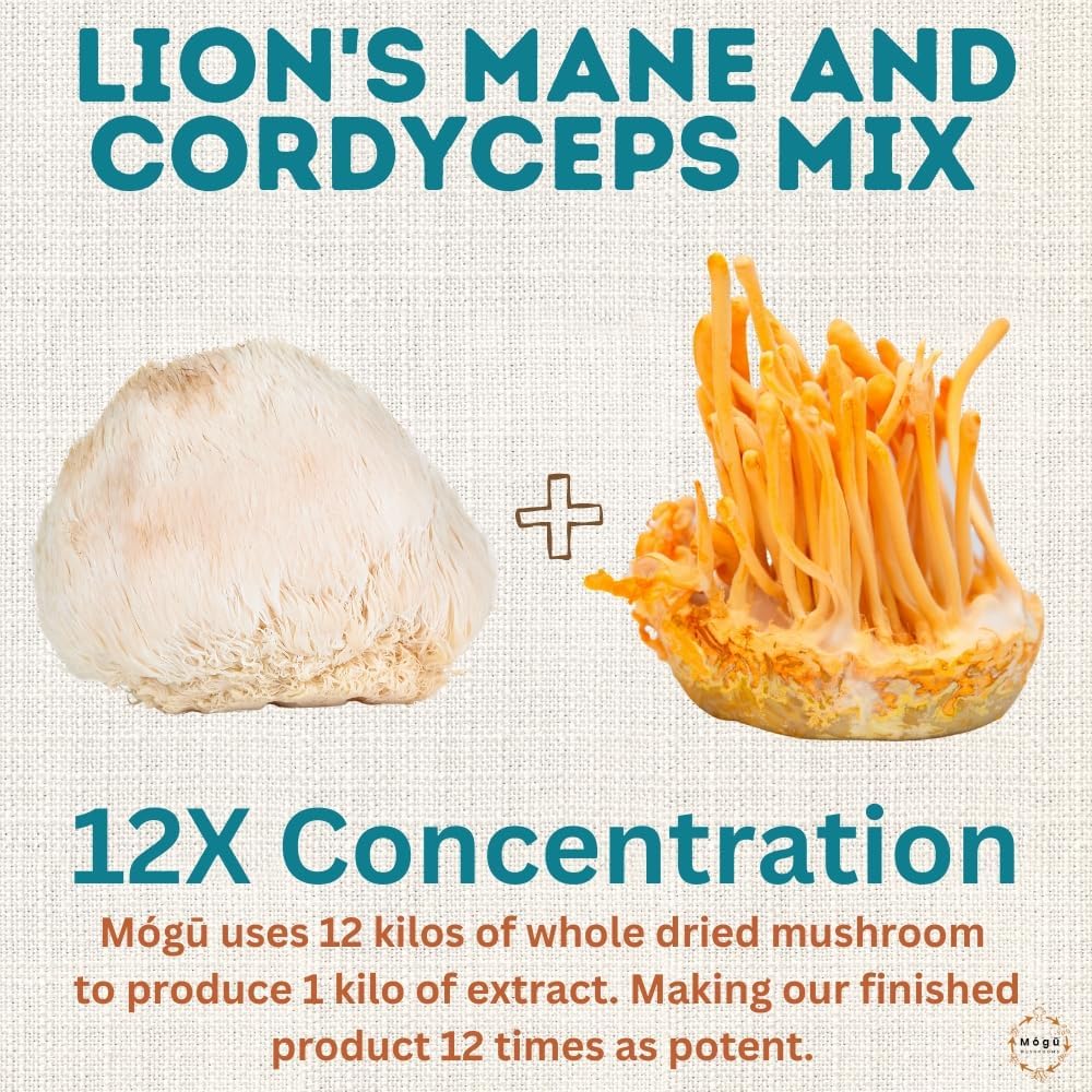Organic Lion's Mane & Cordyceps Mushrooms Extract for Focus, Energy, and Endurance - 100% Fruiting Bodies - 125g