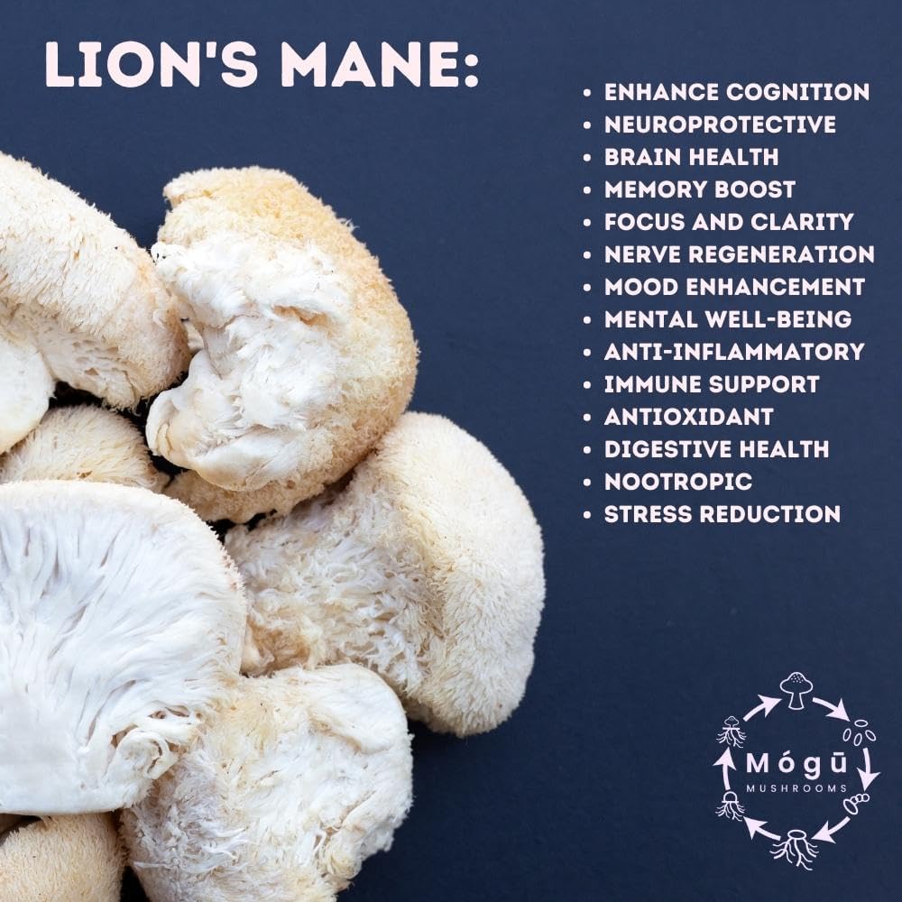 Organic Lion's Mane & Cordyceps Mushrooms Extract for Focus, Energy, and Endurance - 100% Fruiting Bodies - 125g