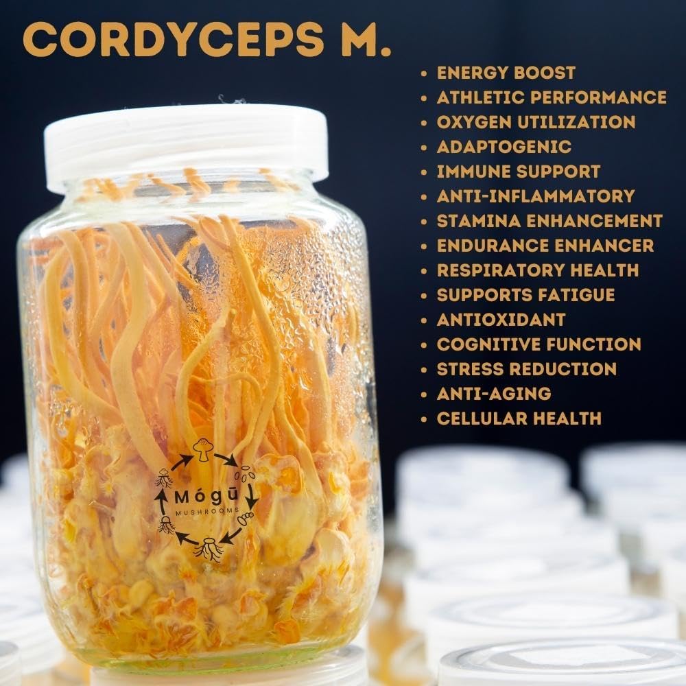 Organic Lion's Mane & Cordyceps Mushrooms Extract for Focus, Energy, and Endurance - 100% Fruiting Bodies - 125g