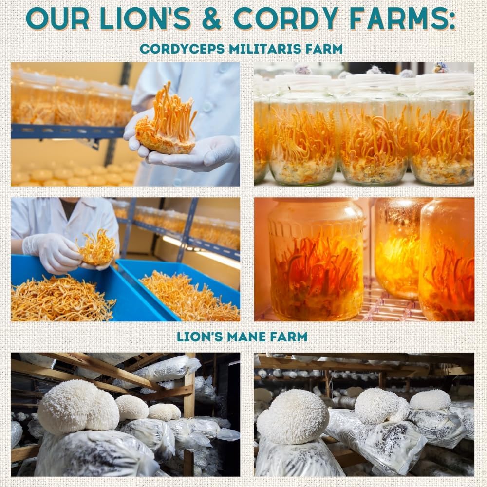Organic Lion's Mane & Cordyceps Mushrooms Extract for Focus, Energy, and Endurance - 100% Fruiting Bodies - 125g