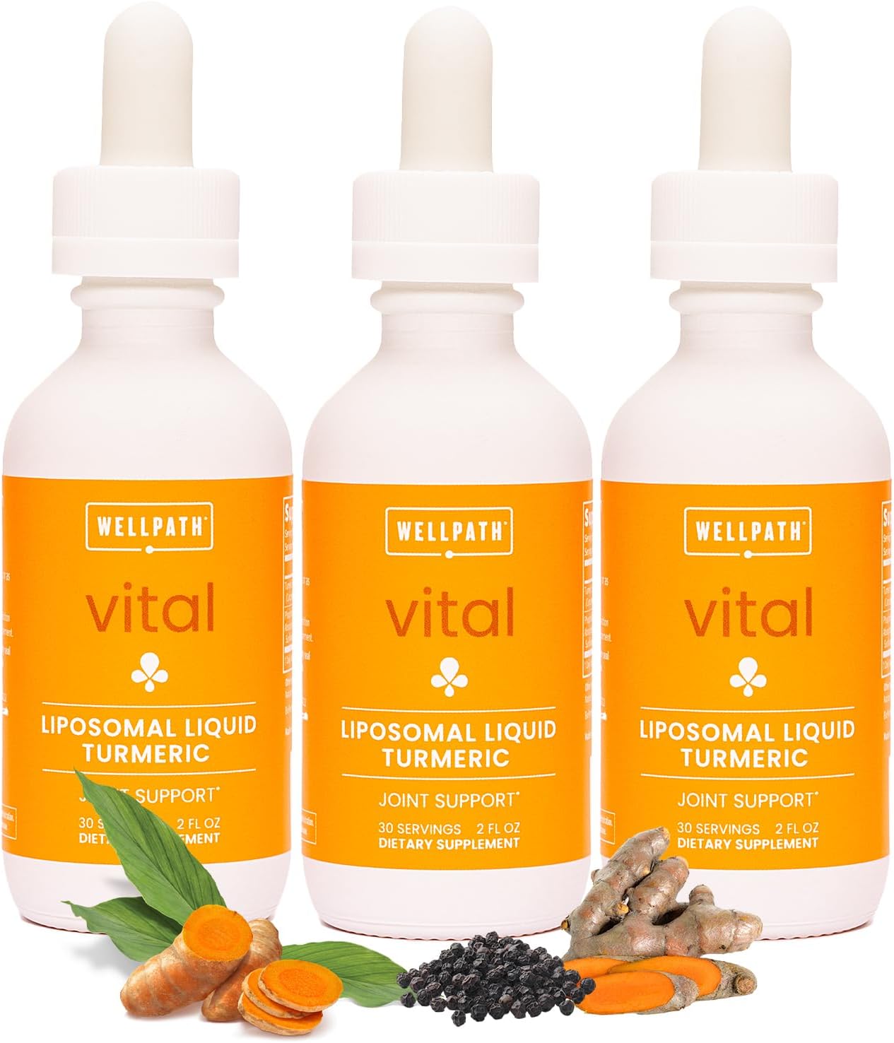 Organic Liposomal Turmeric Drops with Black Pepper Extract - Enhanced Absorption Liquid Supplement (6 oz total) - Non-GMO, Vegan - Pack of 3
