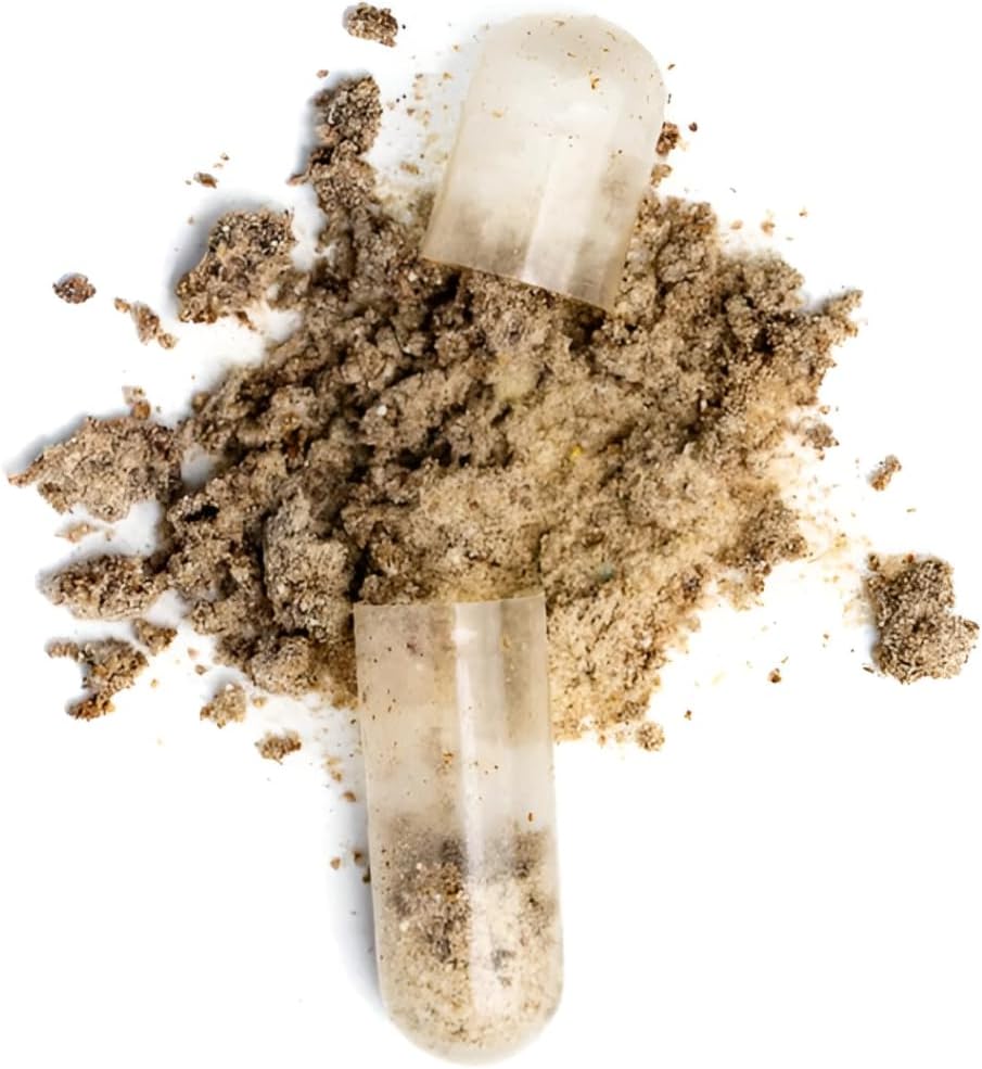 Organic Moringa Capsules for Natural Wellness - Bella Brand