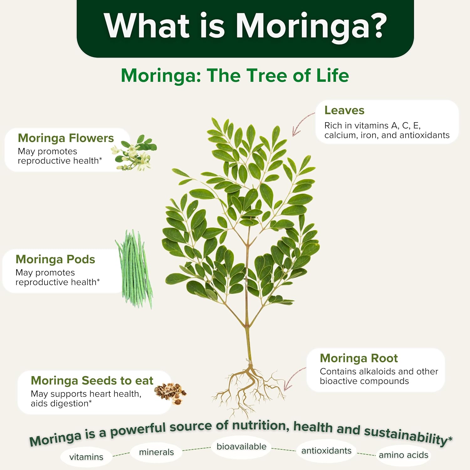 Organic Moringa Leaf Powder Capsules - Superfood Supplement for Energy, Mood, Skin, Gut Health & Immune Support - 30 Day Supply