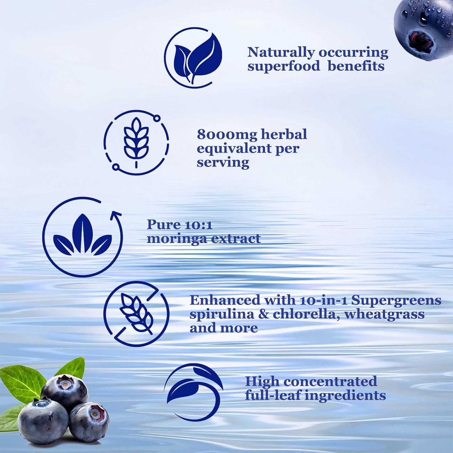 Organic Moringa Liquid Drops 2 Pack - 8000mg High Potency Leaf Extract with Supergreens for Antioxidant, Energy & Immune Support