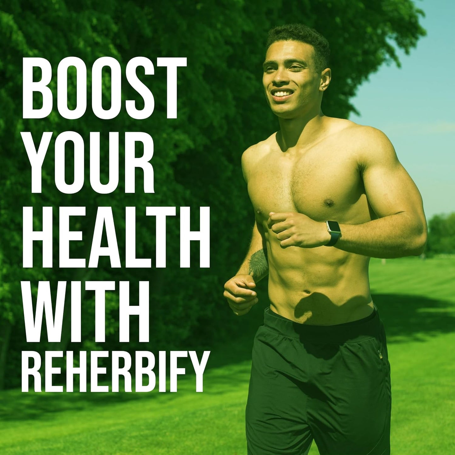 Organic Moringa Oleifera Leaf Powder Capsules 1000mg - 60 Caps | Immunity Boost & Wellness Support | ReHerbify