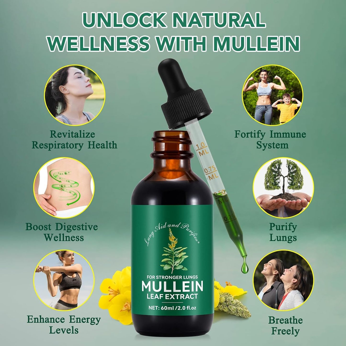Organic Mullein Leaf Extract Drops for Lung Cleanse and Respiratory Function - Immune Support Tincture, Tea, Pills