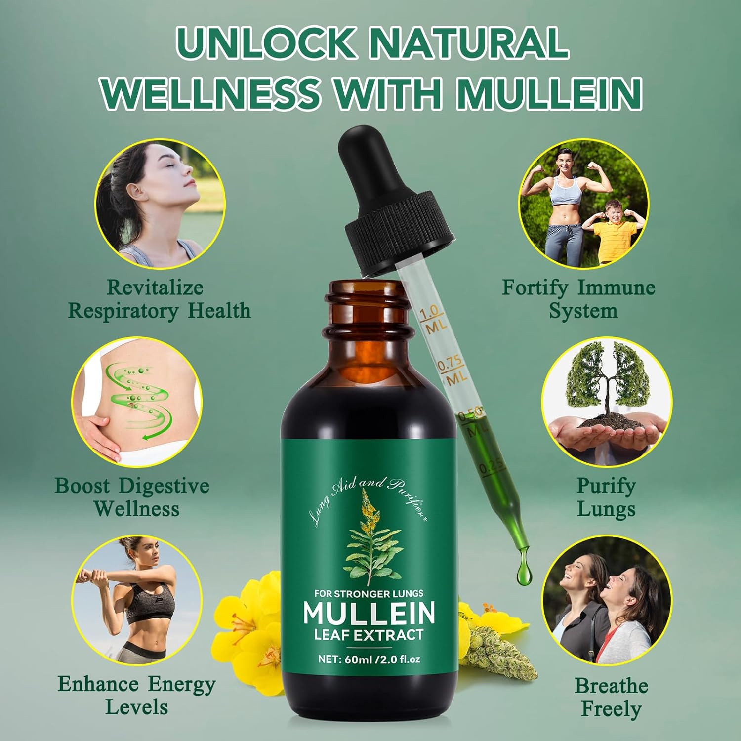 Organic Mullein Leaf Extract Drops for Lung Cleanse and Respiratory Function - Immune Support Tincture, Tea, Pills