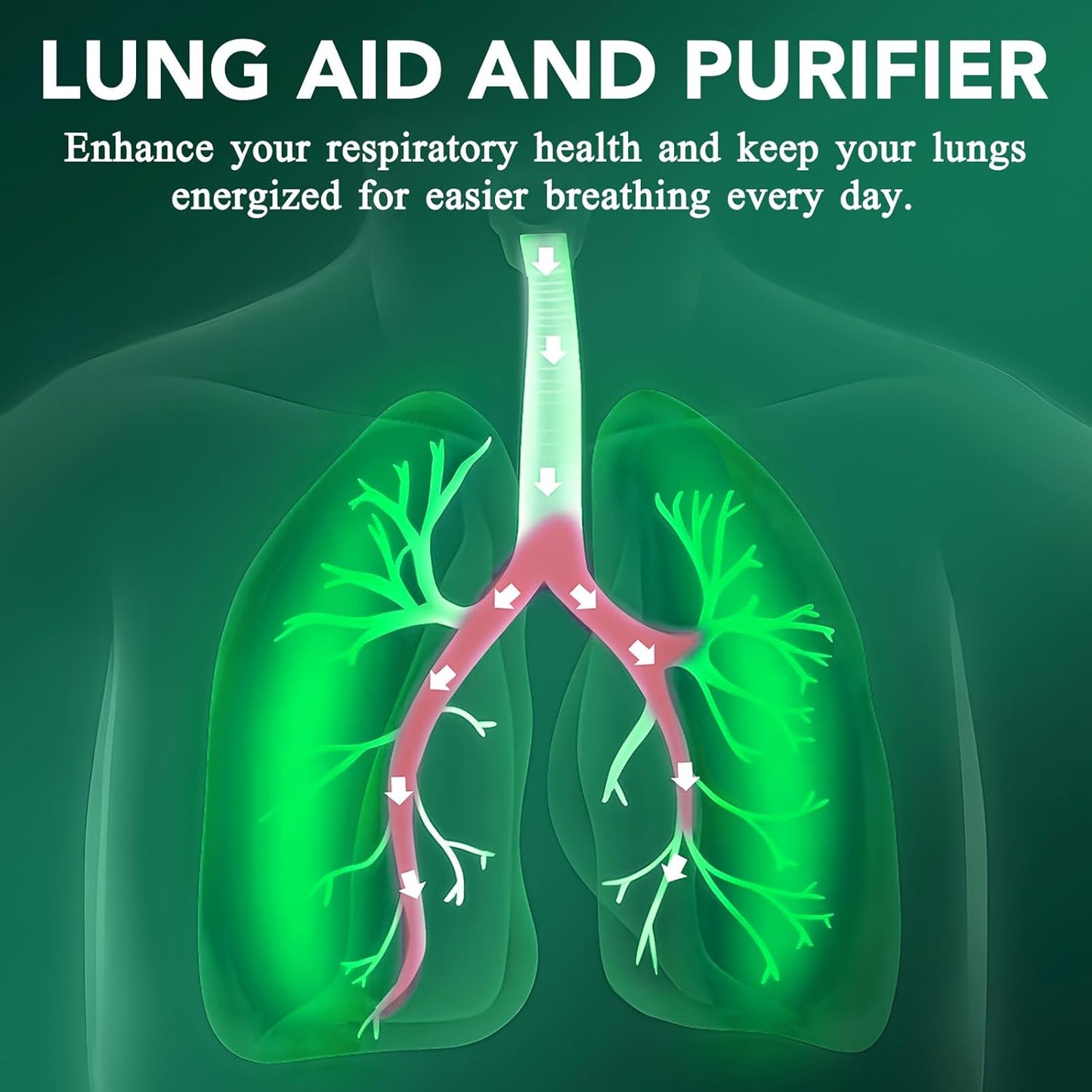 Organic Mullein Leaf Extract Drops for Lung Cleanse and Respiratory Function - Immune Support Tincture, Tea, Pills
