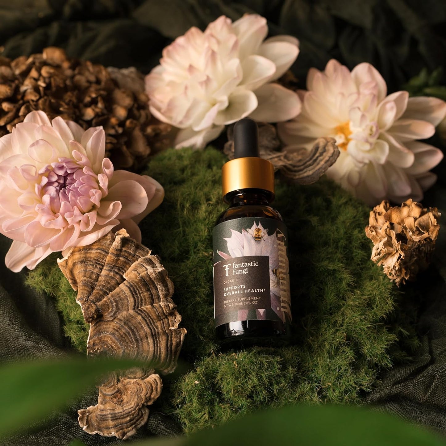 Organic Mushroom Immunity Elixir with Turkey Tail, Chaga, Maitake, Elderberry & Astragalus Extract - Liquid Drops for Immune Health - 30 Servings, 1 fl oz