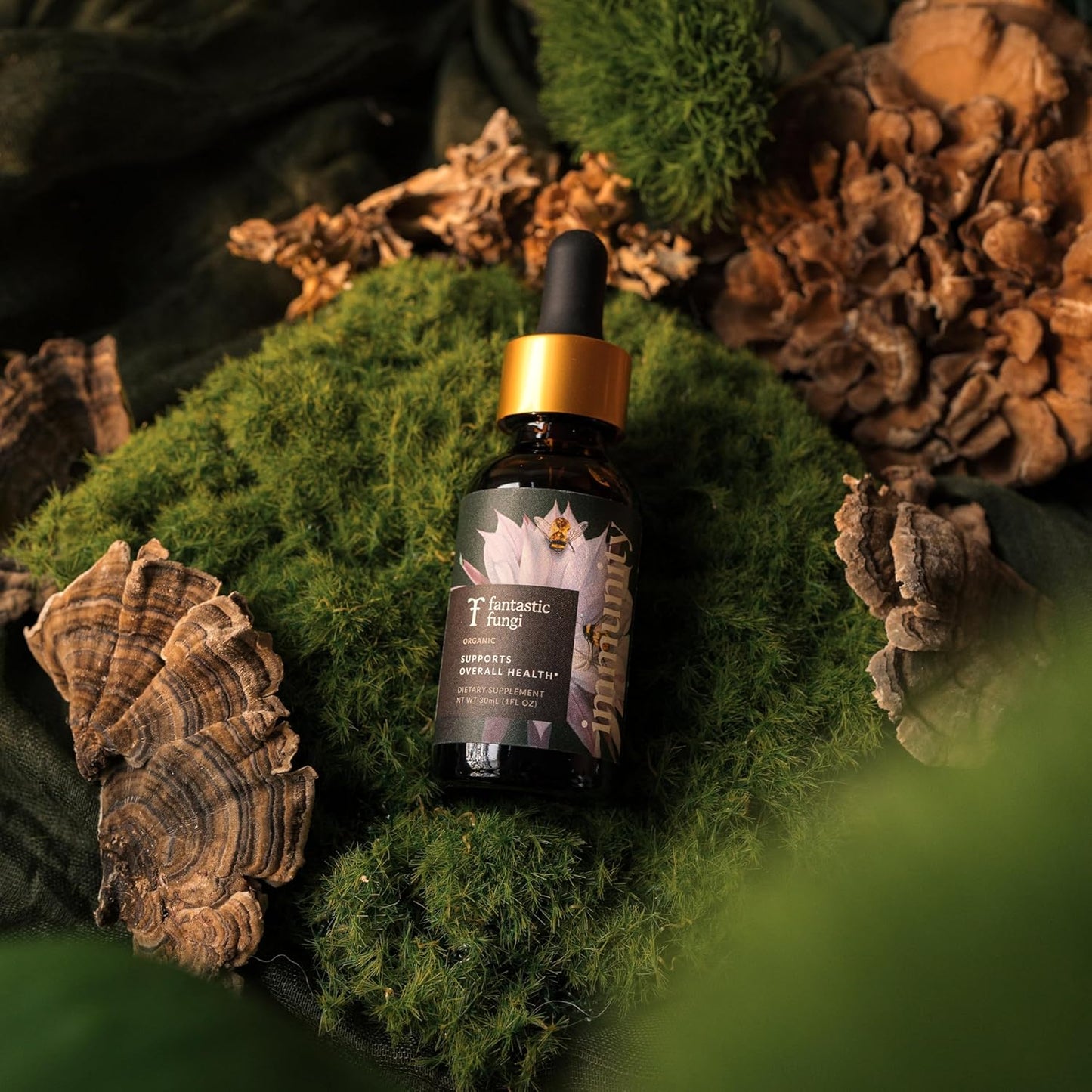 Organic Mushroom Immunity Elixir with Turkey Tail, Chaga, Maitake, Elderberry & Astragalus Extract - Liquid Drops for Immune Health - 30 Servings, 1 fl oz